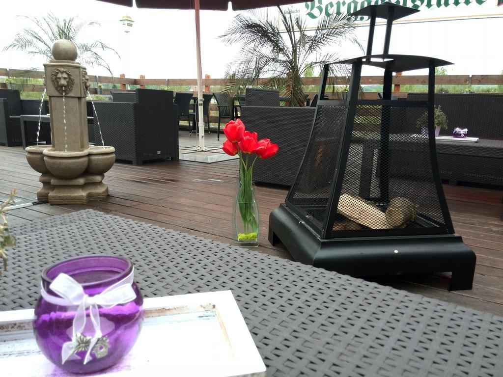 Landhotel Berggaststaette Bickenriede Anrode エクステリア 写真