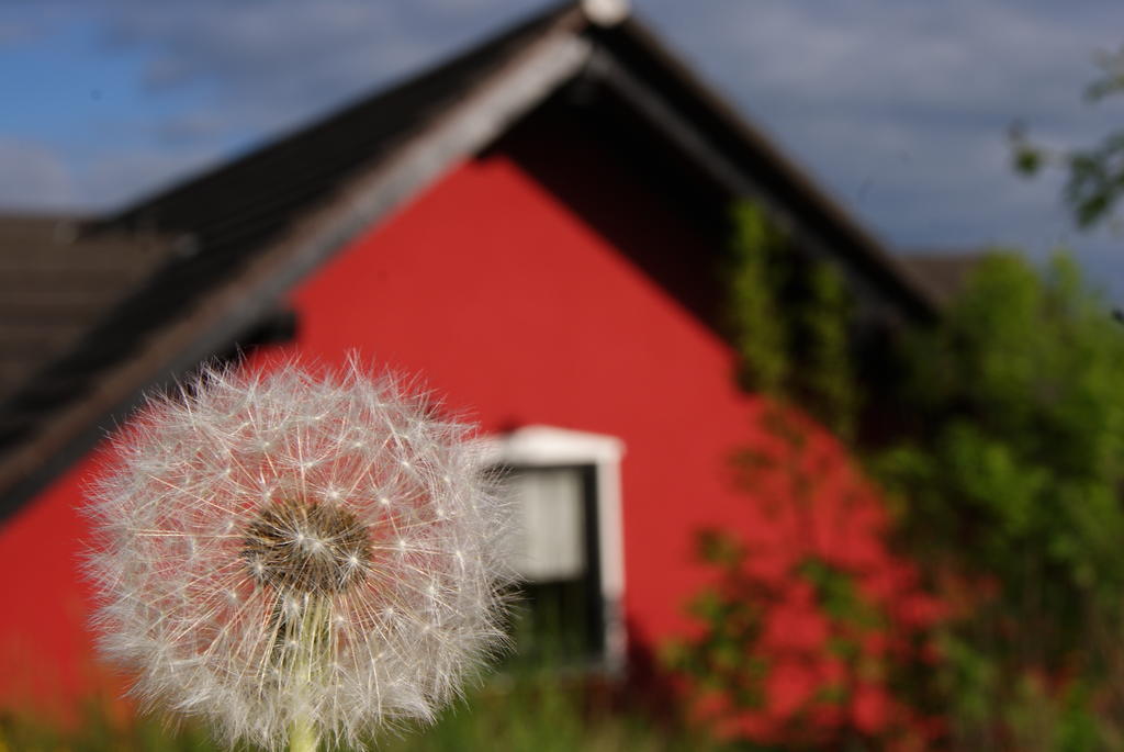 Landhotel Berggaststaette Bickenriede Anrode エクステリア 写真